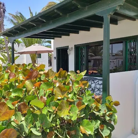 Dalai - Pool View- Good Wifi Appartement